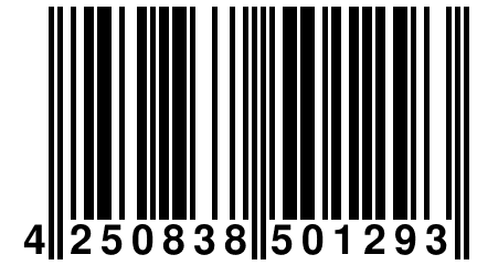 4 250838 501293