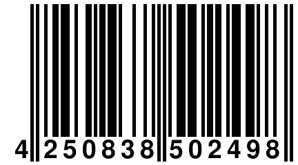 4 250838 502498