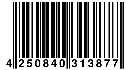 4 250840 313877