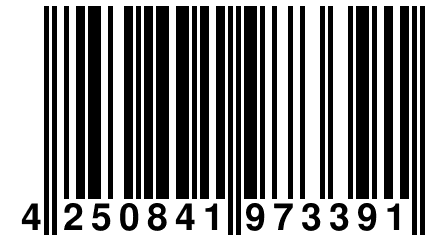 4 250841 973391