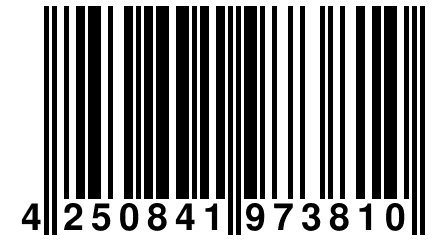 4 250841 973810