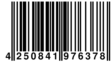 4 250841 976378