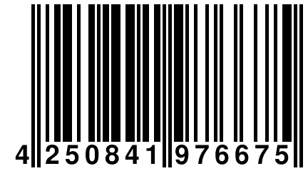 4 250841 976675