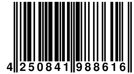 4 250841 988616