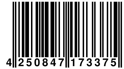 4 250847 173375