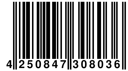 4 250847 308036