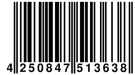 4 250847 513638