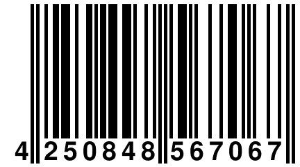 4 250848 567067