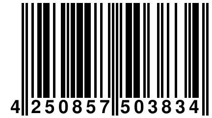 4 250857 503834