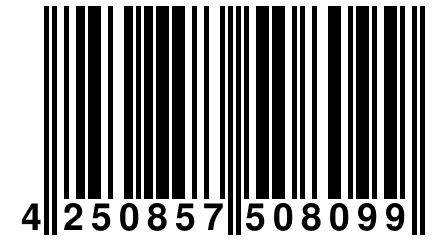 4 250857 508099