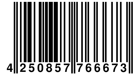 4 250857 766673