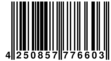 4 250857 776603