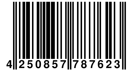 4 250857 787623