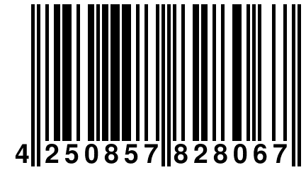 4 250857 828067