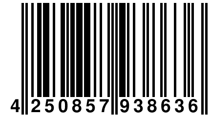 4 250857 938636