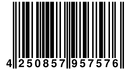 4 250857 957576