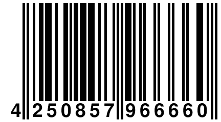 4 250857 966660