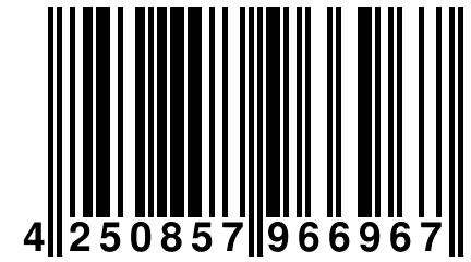 4 250857 966967