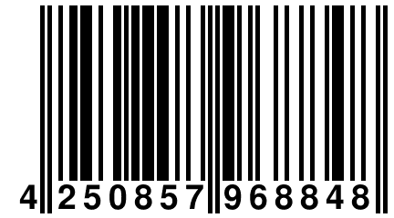 4 250857 968848