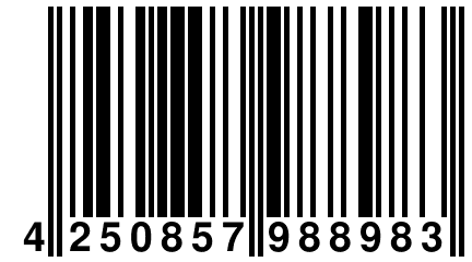 4 250857 988983