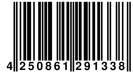 4 250861 291338