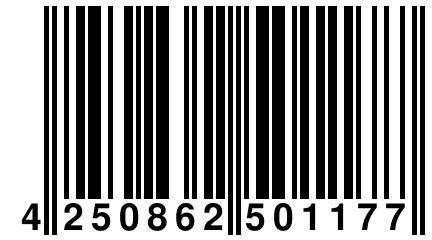 4 250862 501177