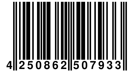 4 250862 507933