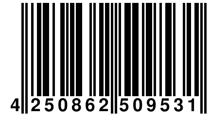 4 250862 509531