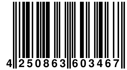 4 250863 603467