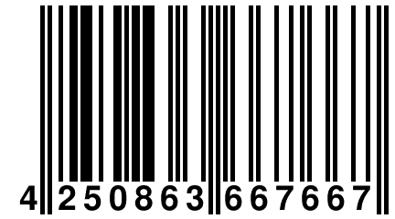 4 250863 667667