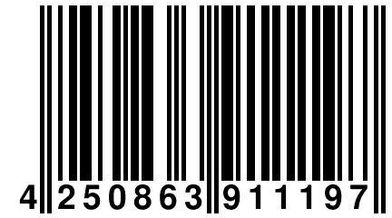 4 250863 911197