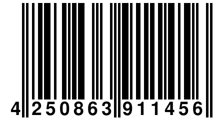 4 250863 911456