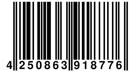 4 250863 918776