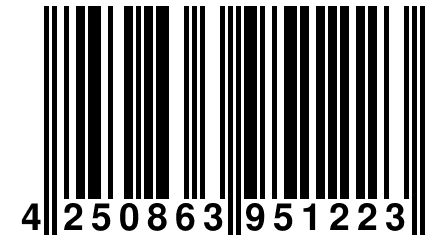 4 250863 951223