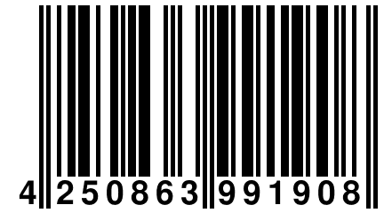 4 250863 991908