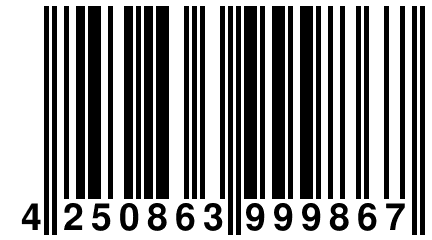 4 250863 999867