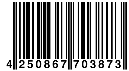 4 250867 703873