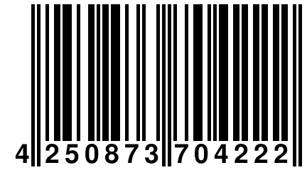 4 250873 704222