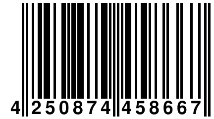 4 250874 458667