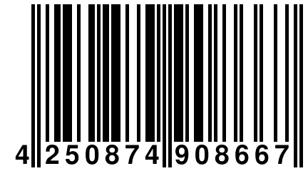 4 250874 908667