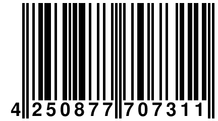 4 250877 707311