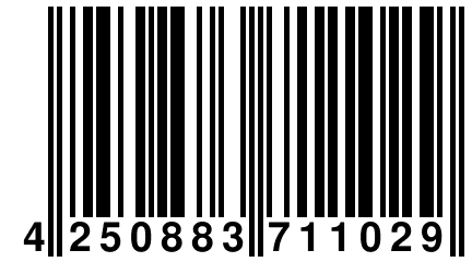 4 250883 711029