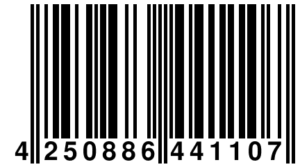 4 250886 441107