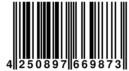 4 250897 669873