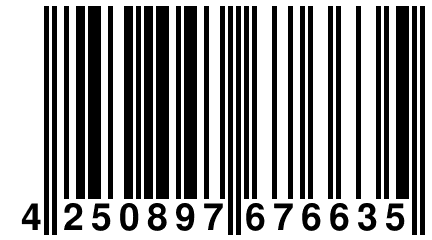 4 250897 676635