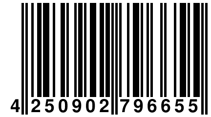 4 250902 796655