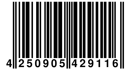 4 250905 429116