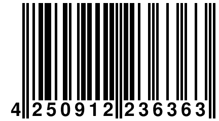 4 250912 236363