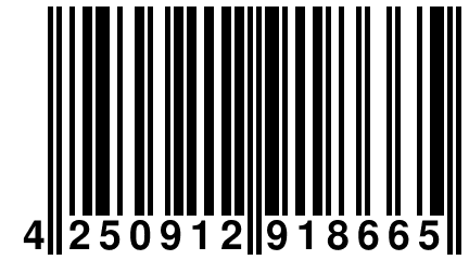 4 250912 918665