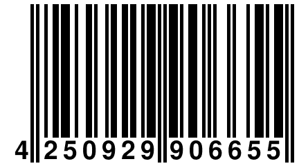 4 250929 906655